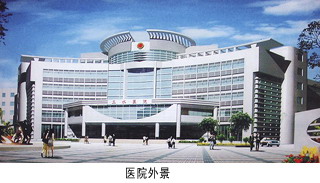第一次去做借卵试管挂什么科