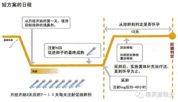 试管代怀机构费用保险怎么买试管代怀哪里优惠保险公司可以报销吗